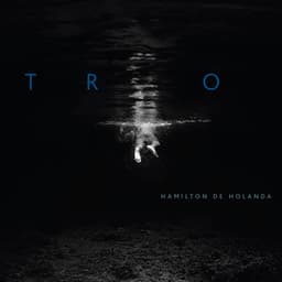 Trio - Hamilton De Holanda