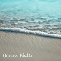 Ocean Walk - Ocean Waves