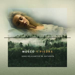 Musgo y Piedra - Sons Relaxantes Da Natureza