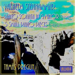Stenhammar: Piano Sonata in G Minor & 3 Small Piano Pieces - W. Stenhammar