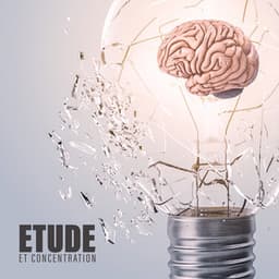Etude et concentration - Nikitovich