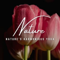 Serenade of Yoga: Healing Harmonies - Yoga