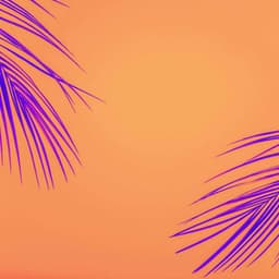 Bright Background for Unwinding Nights - Chill Hop Playlist