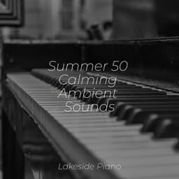 Summer 50 Calming Ambient Sounds - Sonidos de la Naturaleza Relajacion