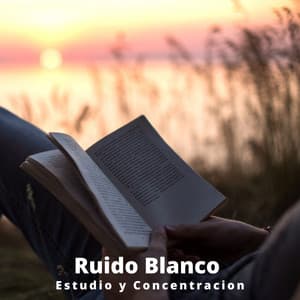 Ruido Blanco: Estudio y Concentracion - Ruido Blanco Hart