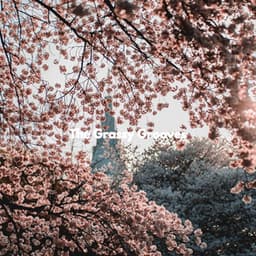 The Grassy Grooves - Jazz Trio