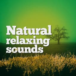 Natural Relaxing Sounds - Best Nature Sounds for Relaxing