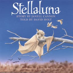 Stellaluna - David Holt