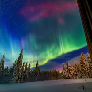 Tranquilidad Vespertina: Música Calmante Para La Calma Nocturna - Sonidos épicos de la naturaleza