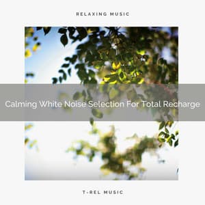 Calming White Noise Selection For Total Recharge - Baby Rain Sleep Sounds / Brown Noise Therapy