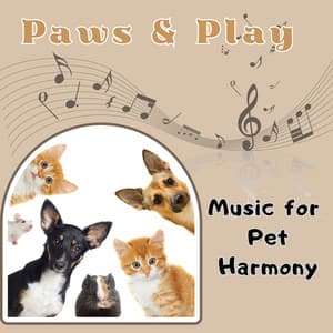 Paws & Play - Music for Pet Harmony - Relax My Dog Music