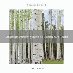 Sonidos de Pajaritos y Ruido de Colores para Relajar - Ruido Blanco
