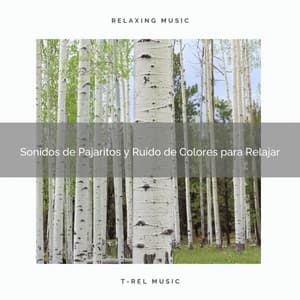 Sonidos de Pajaritos y Ruido de Colores para Relajar - Ruido Blanco