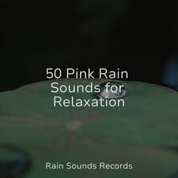 50 Pink Rain Sounds for Relaxation - Lullabies for Deep Meditation