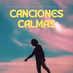 Canciones Calmas: Una Mezcla De Lofi Suave Para El Yoga De La Noche - Nación Lofi Hip Hop