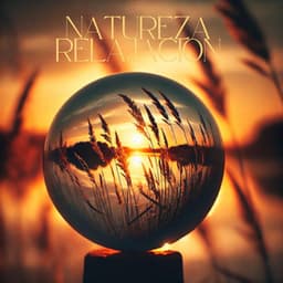 Natureza Relajacion - Maestros de música de la meditación