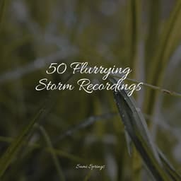 50 Flurrying Storm Recordings - Natureza Musica Bem-Estar Academia