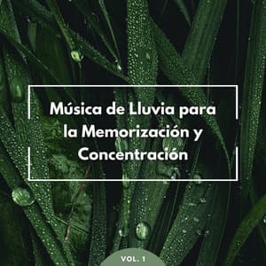 Música De Lluvia Para La Memorización Y Concentración Vol. 1 - Bonitos ruidos de lluvia