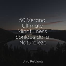 50 Verano Ultimate Mindfulness Sonidos de la Naturaleza - Musica Relajante New Age Culture