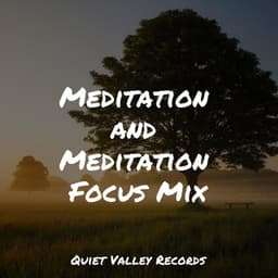 Meditation and Meditation Focus Mix - Sampling XL