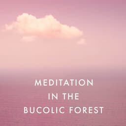 Meditation in the Bucolic Forest - Spa Musique Massage