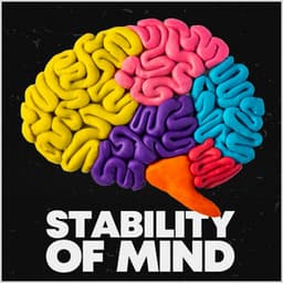 Stability of Mind - White Noise