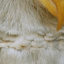 365 Complete Works 23 - Aidan O'Rourke