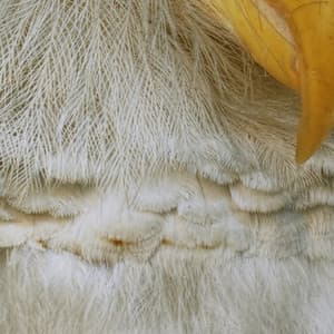 365 Complete Works 23 - Aidan O'Rourke