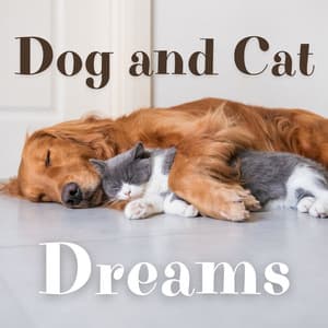 Dog and Cat Dreams - Jazz Pets Relax