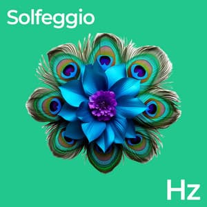 Solfeggio Frequencies - Relaxing Zen Music Therapy