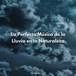 La Perfecta Música De La Lluvia En La Naturaleza Vol. 1 - Escuela de Lluvia