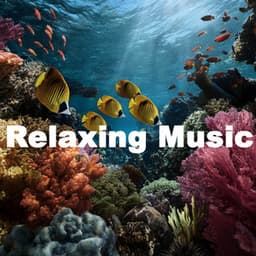 ! ! ! ! Relaxing Music for Peaceful Relaxation - Música Relajante