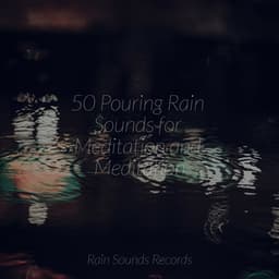 50 Pouring Rain Sounds for Meditation and Meditation - Calming Sounds