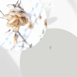 Music for Quiet Day Moods - Elevator Background Music Classics