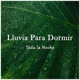 Lluvia para Dormir Toda la Noche - Som de Chuva e Trovões