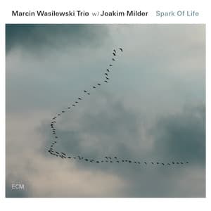 Spark Of Life - Marcin Wasilewski Trio