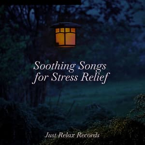 Soothing Songs for Stress Relief - Sonidos De Lluvia y Tormentas