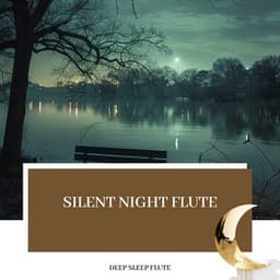 Silent Night Flute: Calmness and Comfort - Deep Sleep Flute
