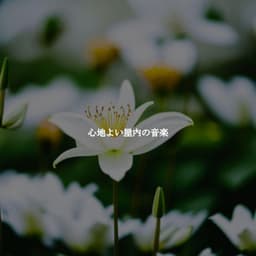 心地よい屋内の音楽 - Easy Sunday Morning Music