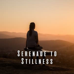 Serenade to Stillness: Lofi Meditation Vibes - Lofi Vibes