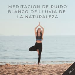 Meditación De Ruido Blanco De Lluvia De La Naturaleza Vol. 1 - Ruido Blanco