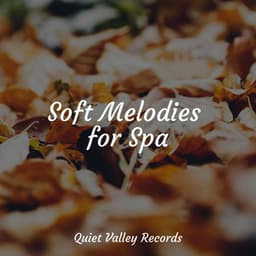 Soft Melodies for Spa - Massagem Coleção de Músicas