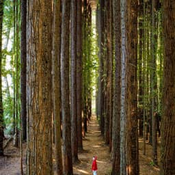 10 AM Wellness: The Great Start - Spa Music Relaxation