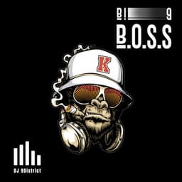 Big B.O.S.S - DJ 9District