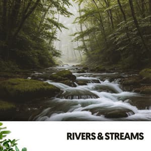 Rivers & Streams: Melodies from the Clouds - Música Relajante Para Leer