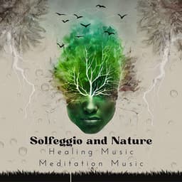 Solfeggio and Nature - SleepTherapy