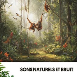 Sons Naturels et Bruit: Symphonie des Mélodies de la Terre - Cat Music Therapy