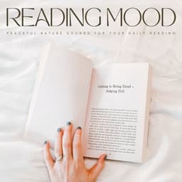 Reading Mood: Peaceful Nature Sounds For Your Daily Reading - XLD Library