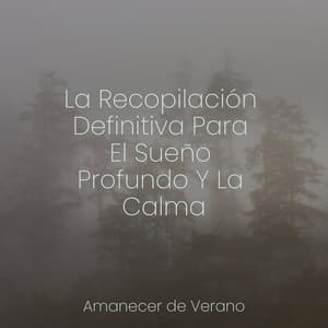 La Recopilación Definitiva Para El Sueño Profundo Y La Calma - Sons da Natureza