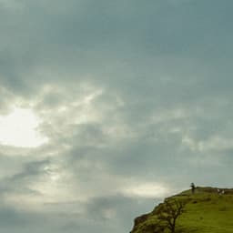 0 Hour Leaves: Streamside Wonder - Baltic Nature Sounds